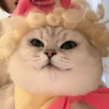 郑二屁
