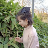 Fairy