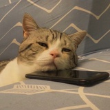 烟藏在基督山伯爵后面