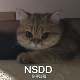 猫猫几几