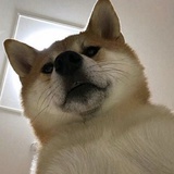 地三仙的代码