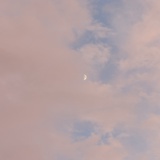 Yoki_