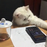 行了别睡了