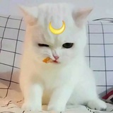 不知道
