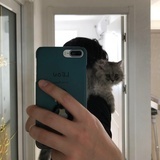 元育