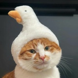 祝我天天好运！