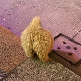 加油打气水