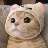 阿蕴