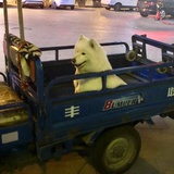 怡宝