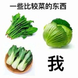 路过的卡面来打