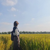 慢画家