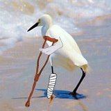 看戏
