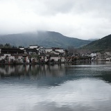 铜豌豆