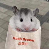 开飞船的🐹
