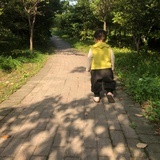 红鲤鱼与绿鲤鱼
