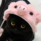 煤球猪猪包