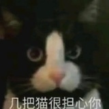 默