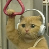 你快点下课好吧