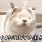 一滴两滴