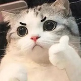 奕尘
