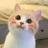 一坨爱看剧的肉