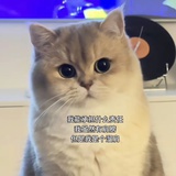 hmevvvd_99