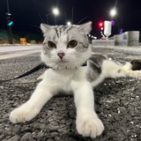 yoki:)