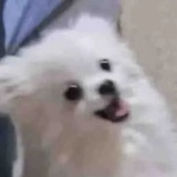 瓜农