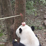 深蓝即是黑
