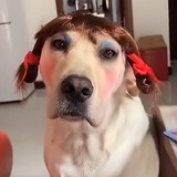 哗啦啦啦咔嚓