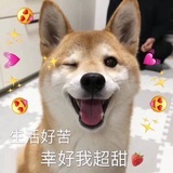今天学习了吗