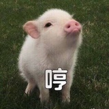 丢了小明