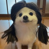 团团圆圆是成语