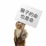 圈圈缺鹅