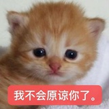 增强免疫力！