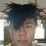 心之王者