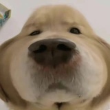 xxxxrt
