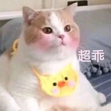 想吃炸鸡