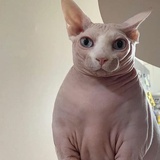 管好自己