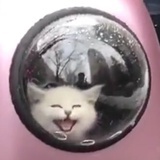 喵吉祥