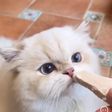 旺旺绵豆沙