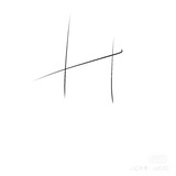 VV