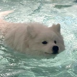 螺si粉