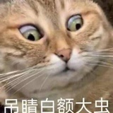 咸鱼次郎