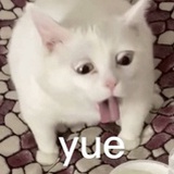 Yue