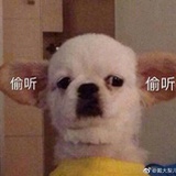 啊啊哈哈哈