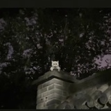 喜气洋洋