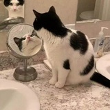 独依