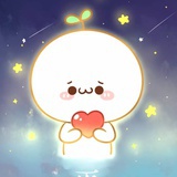 沅芷澧兰