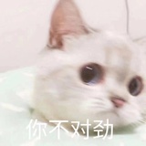 人间小甜饼